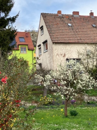 Ad image: Günstiges WG-Haus mit Garten (4 Personen, insg. 800€ warm)