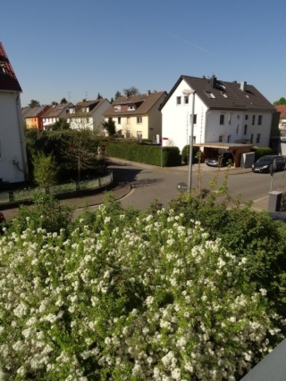 Anzeigenbild: Großzügiges und sehr helles möbliertes Zimmer, nahe Volkspark - beste Mainzer Wohngegend. Bevorzugt an Wochenend-Heimfahrer.