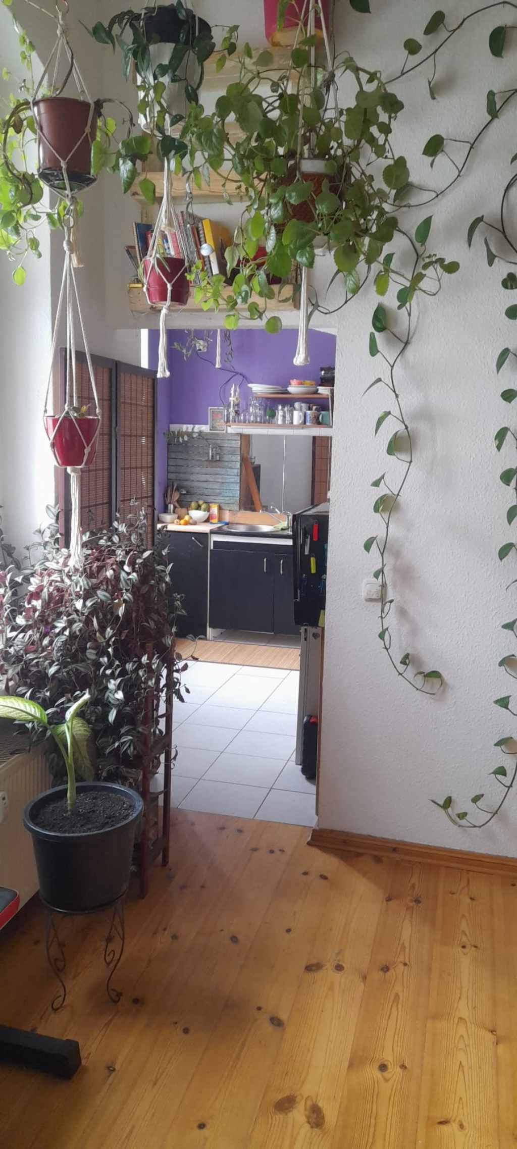Schöne Einzimmerwohnung zu vermieten – Rigaer Straße, 10247 Berlin Friedrichshain – Vorschaubild 5