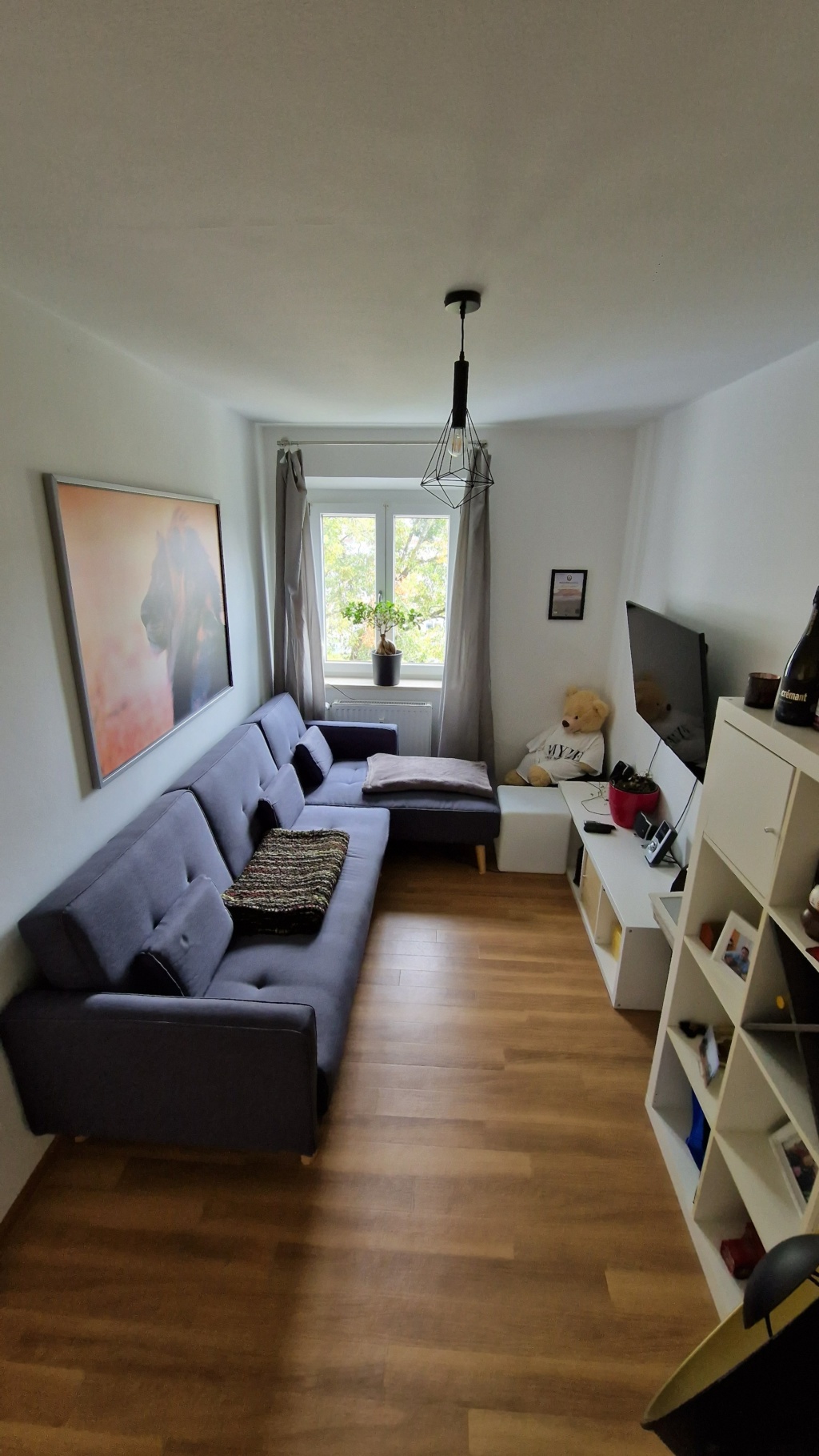 Flat Laim Fürstenrieder Straße - Wohnzimmer (Schlafcouch)