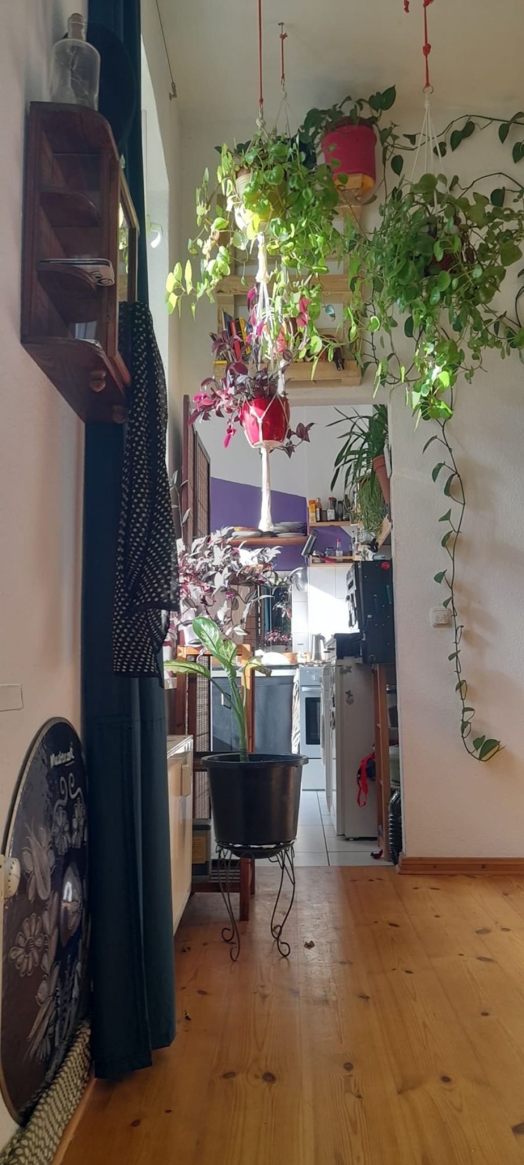 Schöne Einzimmerwohnung zu vermieten – Rigaer Straße, 10247 Berlin Friedrichshain – Vorschaubild 3