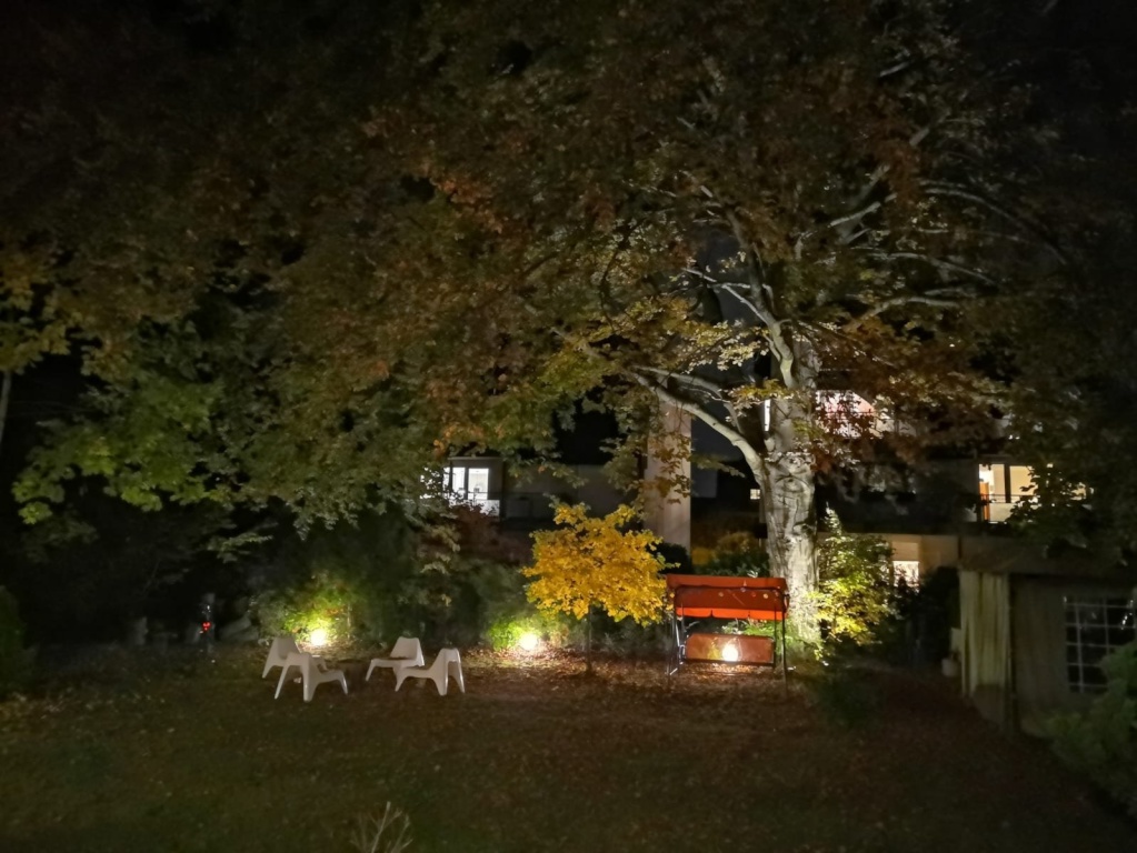Flatshare Möhringen Lieschingstraße - Garten Nordseite am Abend