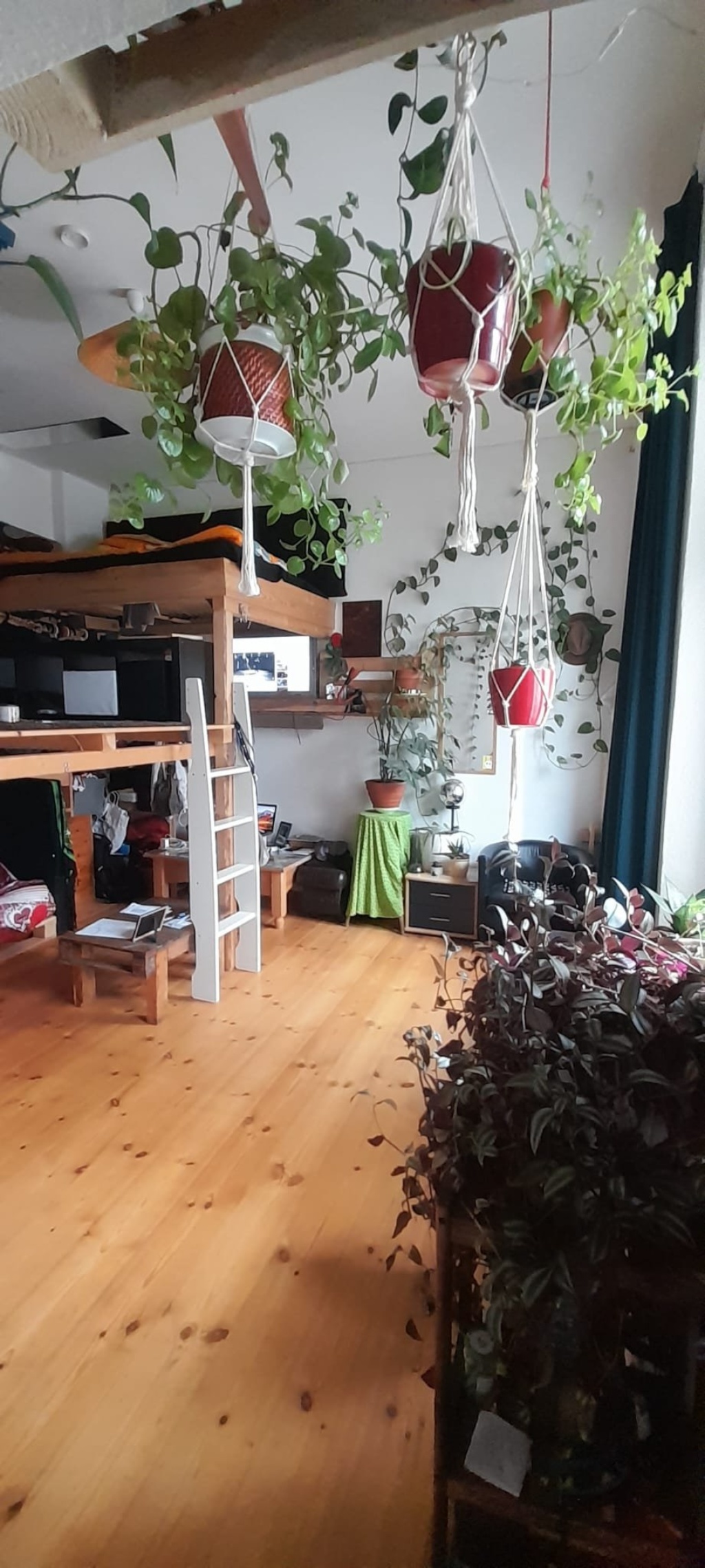 Schöne Einzimmerwohnung zu vermieten