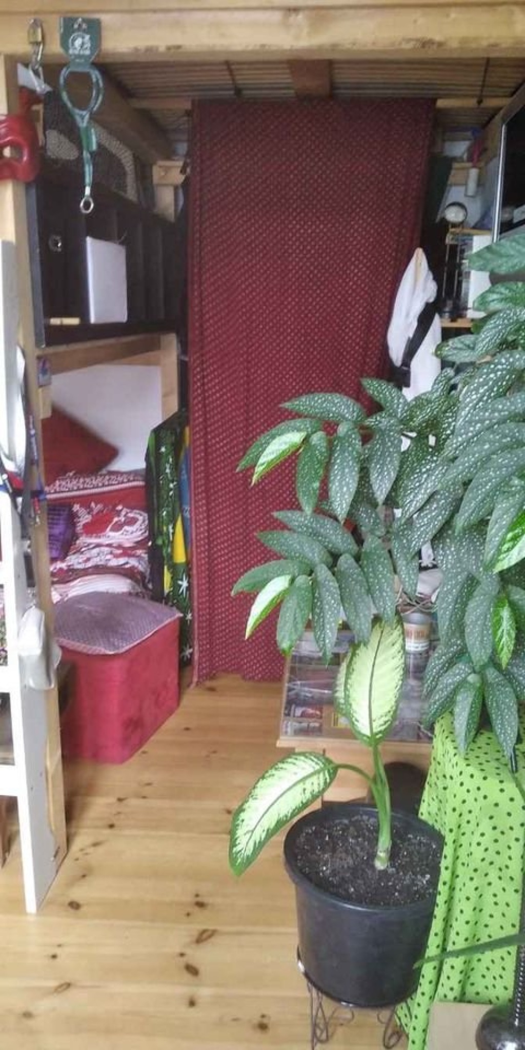 Schöne Einzimmerwohnung zu vermieten – Rigaer Straße, 10247 Berlin Friedrichshain – Vorschaubild 2