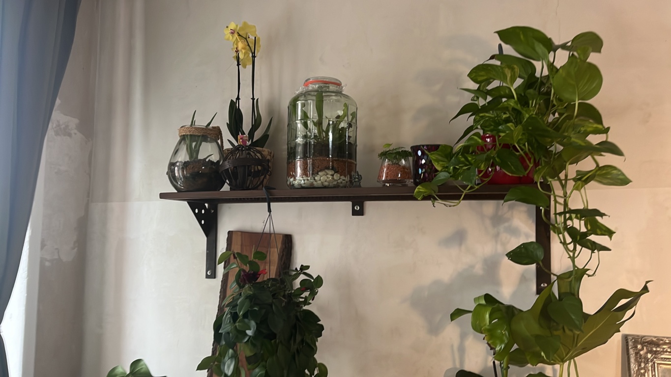 Apartamento Plänterwald Am Treptower Park 38 - foto 6