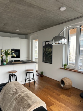 Ad image: Furnished apartment for rent