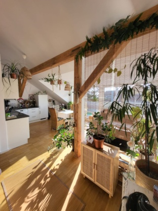 Anzeigenbild: Lichtdurchflutete Wohnung mit Dachterrasse