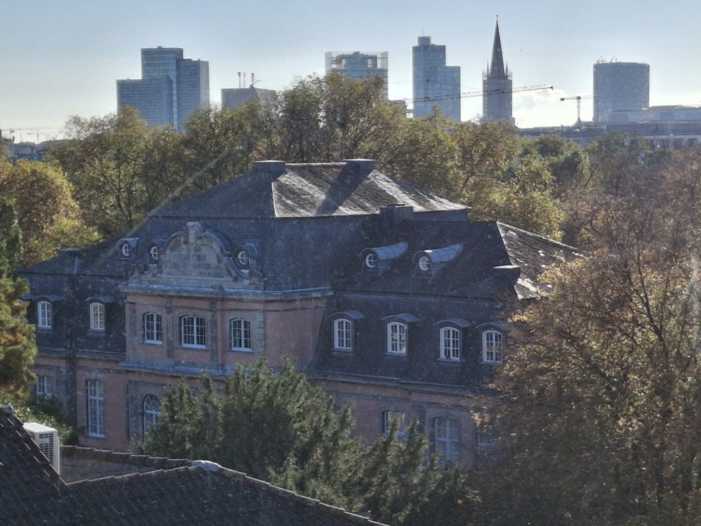 1-Zimmer-Apartment am Hofgarten (nur 1 Person, ab Sept 2026)