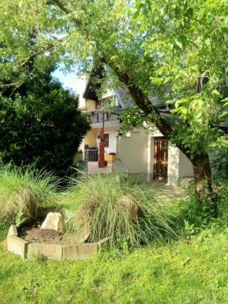 Anzeigenbild: mitbewohner*innen für Haus WG mit riesen Garten gesucht