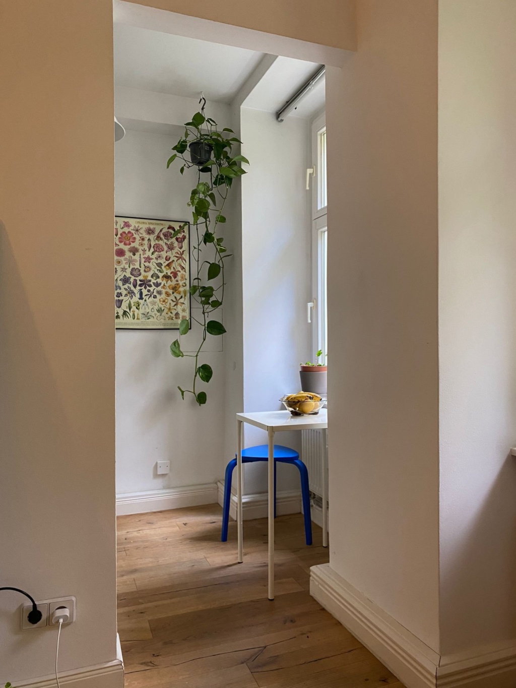 1 room apartment Prenzlauer Berg - October 2026 - April 2027 – Marienburger Straße 7, 10405 Berlin Prenzlauer Berg – Vorschaubild 2