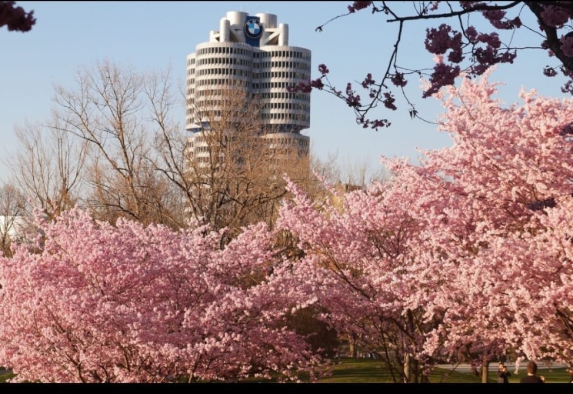 Temporäre Wohnung (voll möbliert) in der Nähe Olympiapark, BMW, U-Bahn Temporary apartment (fully furnished) close to Olympia park, BMW, subway – Petuelring, 80807 München Milbertshofen-Am Hart – Vorschaubild 12