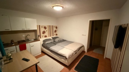 Anzeigenbild: Einzimmeraprtment mit balkon