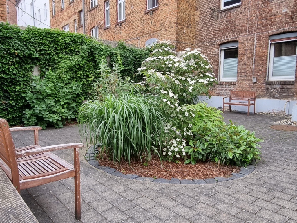 Wohnung Wesertor Gartenstraße 23 - Garten