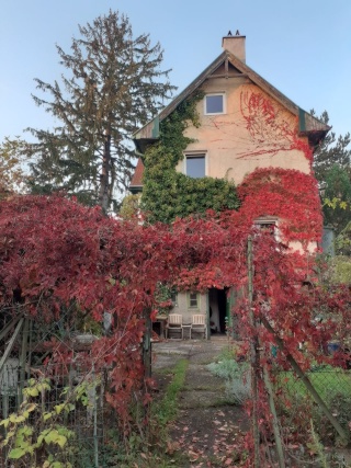Imagen del anuncio: Suchen Nachmieter*innen für ganzes Haus (WG-tauglich) mit Garten