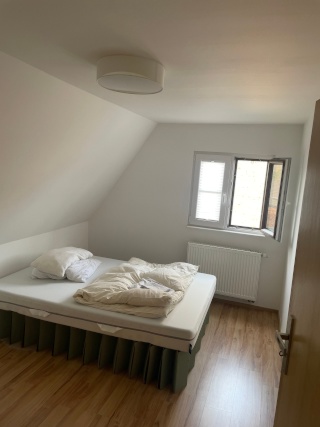 Ad image: Haus-WG mit Hund