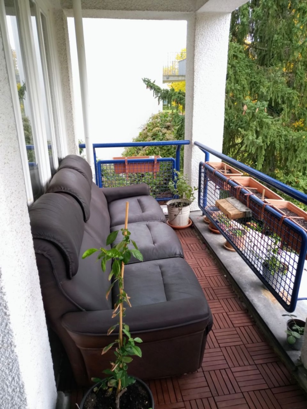 ganze Wohnung mit Balkon nahe der S-Bahn S1 Botanischer Garten Berlin-Steglitz