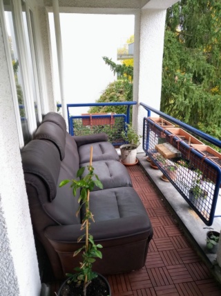 Anzeigenbild