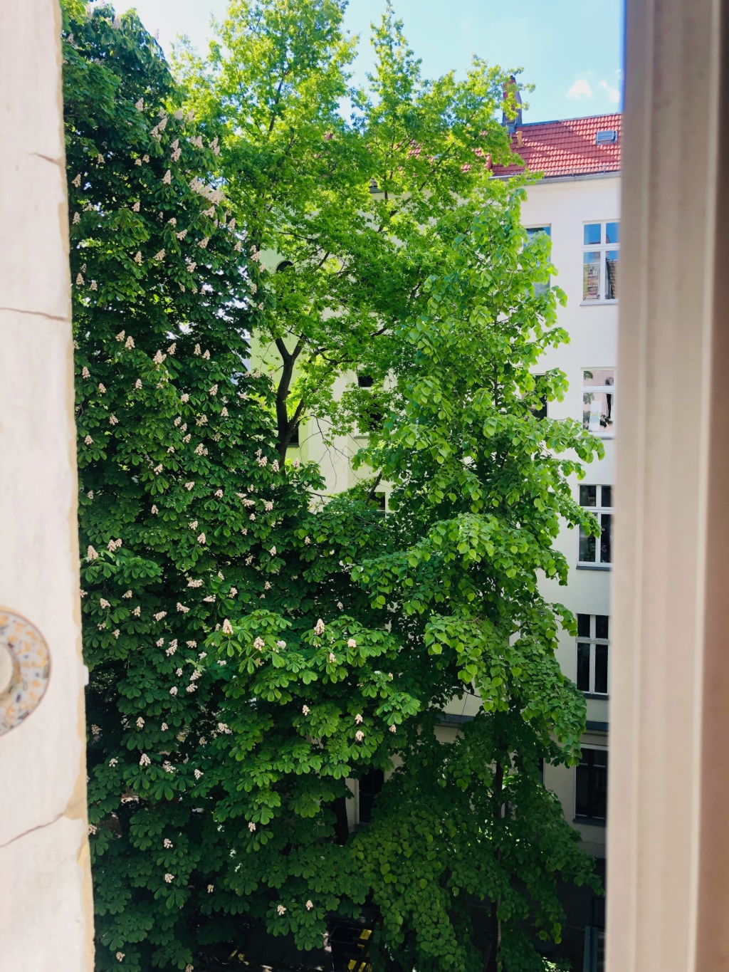 WG-Zimmer Friedrichshain-Kreuzberg Stralauer Kiez - view in the courtyard