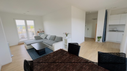 Anzeigenbild: Looking for a Subtenant: 1.5-Month 2 zimmer Apartment