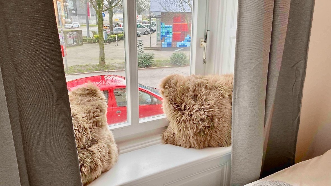 Coliving Suiten in St. Pauli | www.stacey.de – Detlev Bremer Straße, 2, 20359 Hamburg St. Pauli – Vorschaubild 4