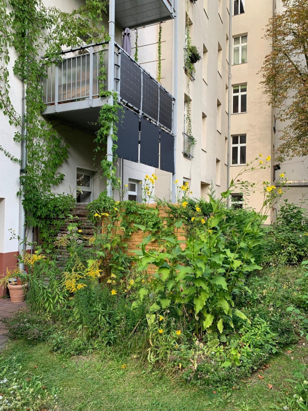 Wohnung Friedrichshain-Kreuzberg Eldenaer Str. - Außenansicht Terasse