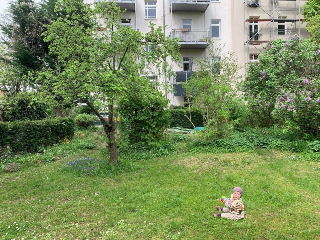 Wohnung Friedrichshain-Kreuzberg Eldenaer Str. - Garten