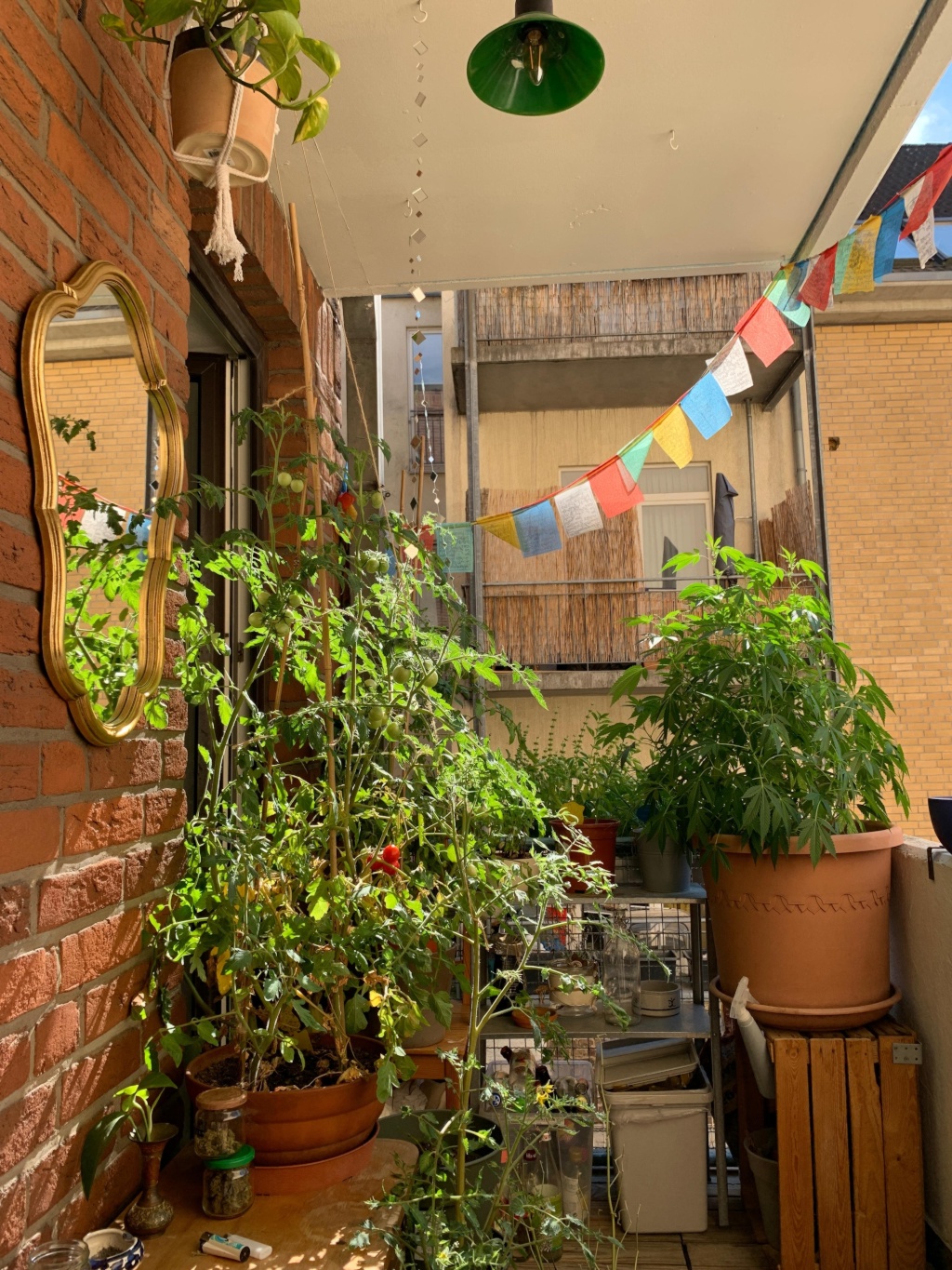Wohnung Altstadt-Nord Weidengasse  61 - Bild 16
