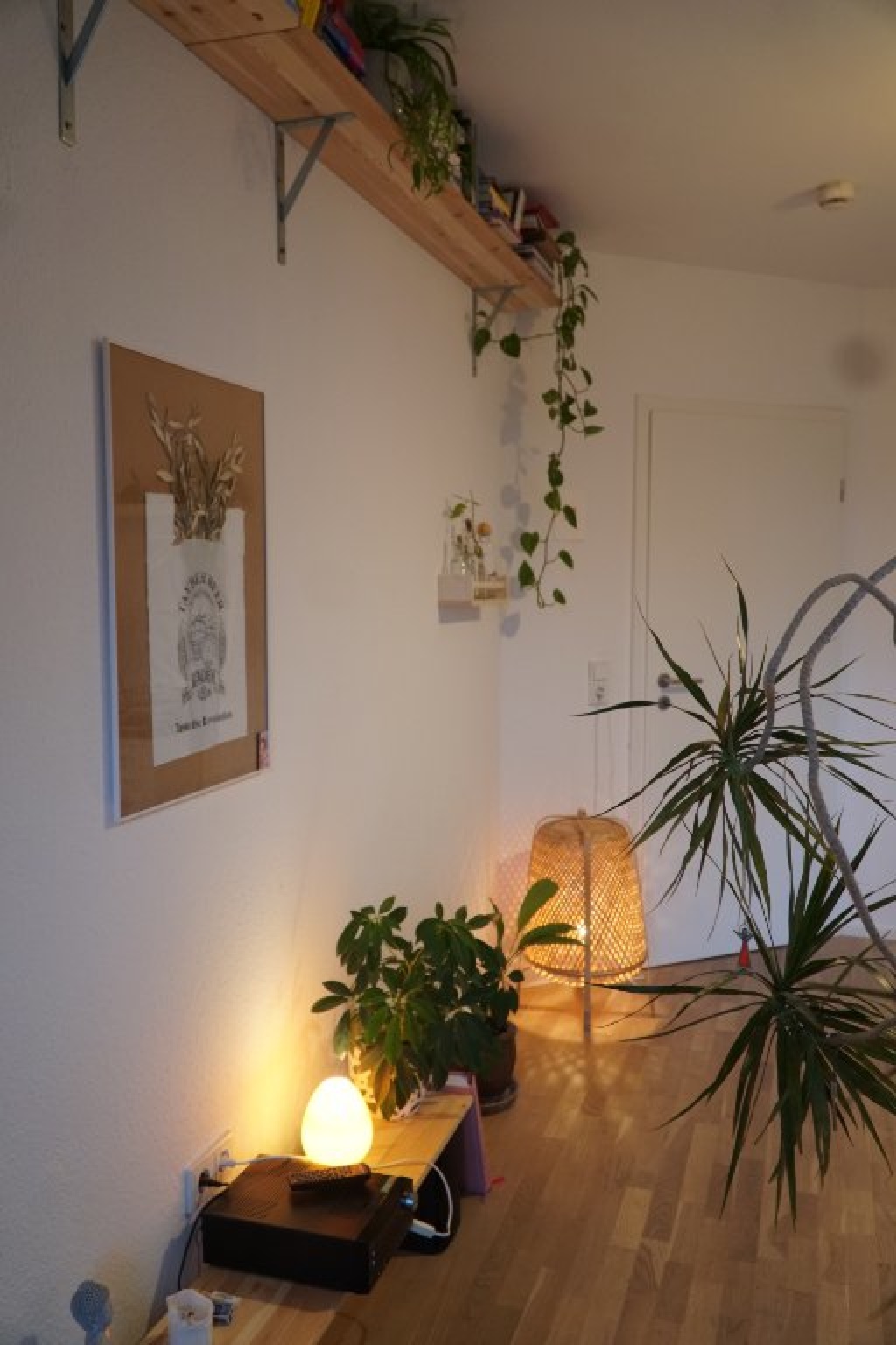 Wohnung Altstadt-Nord Weidengasse  61 - Bild 4