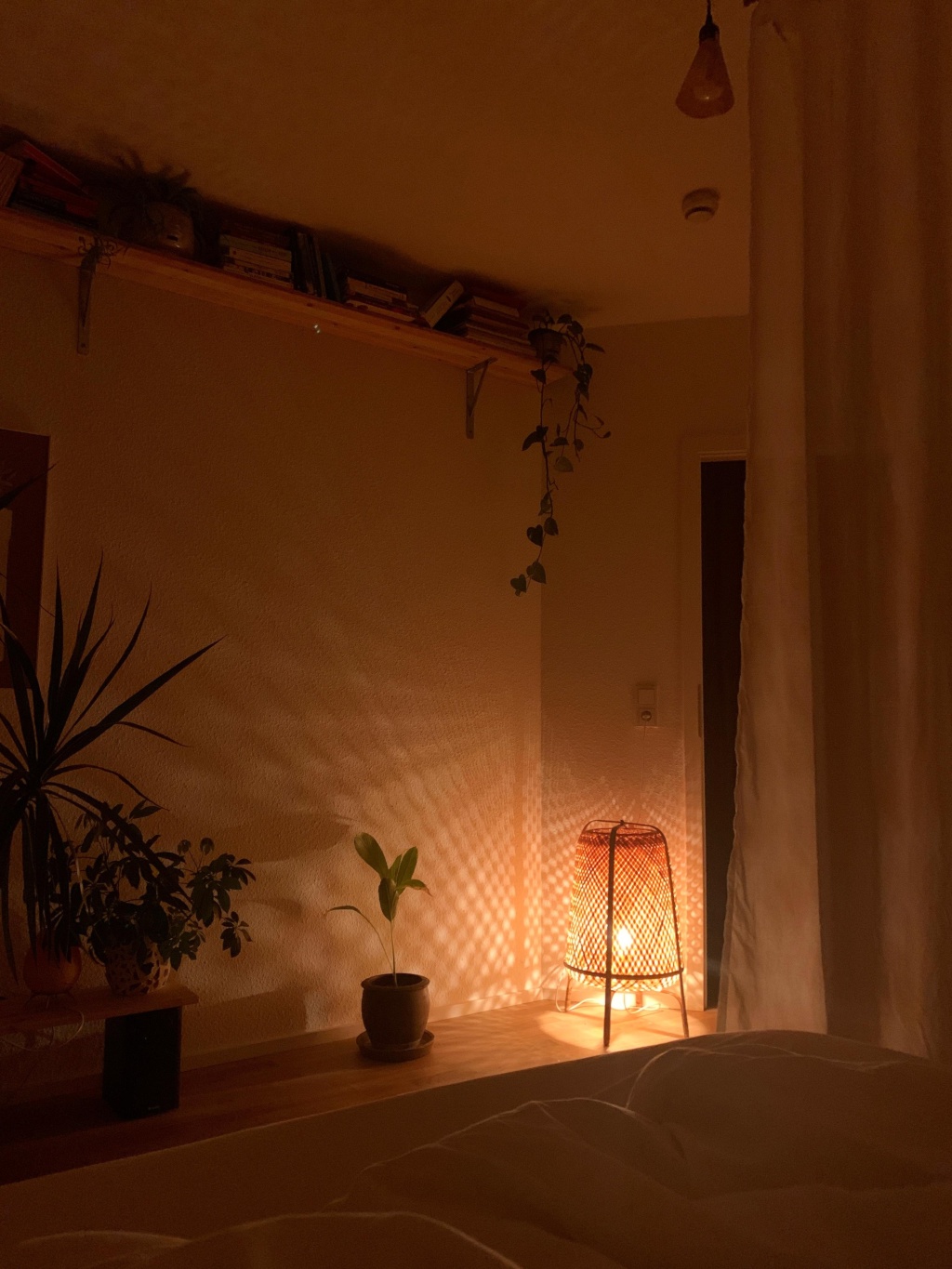 Wohnung Altstadt-Nord Weidengasse  61 - Bild 5