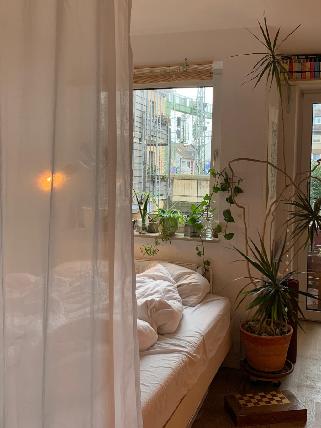 Wohnung Altstadt-Nord Weidengasse  61 - Bild 2