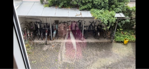 Anzeigenbild