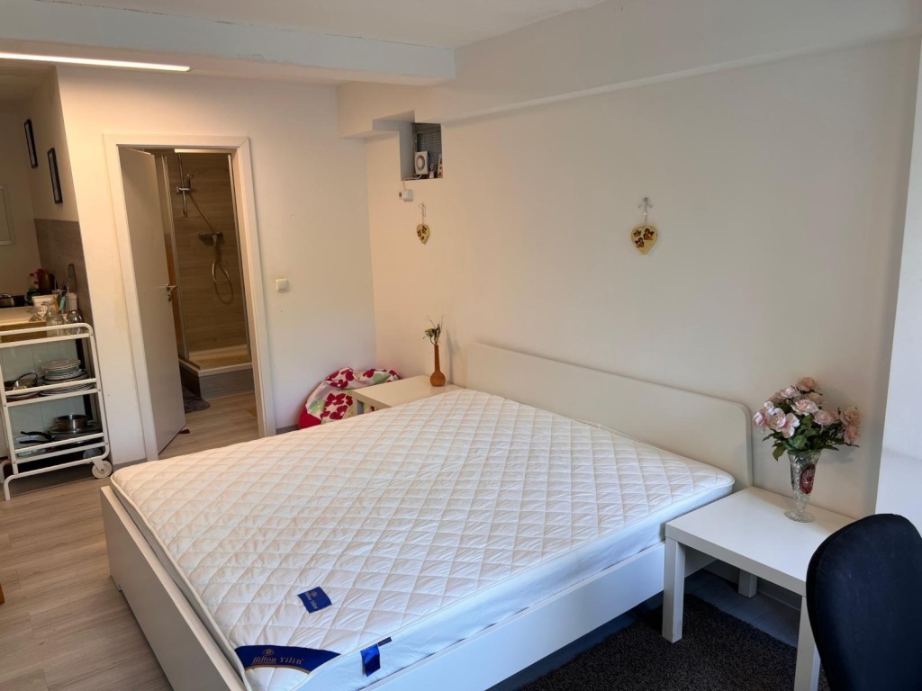 31 qm voll möblierte Einlieger-1-Zimmer-Wohnung Nr. 8 mit eigenem Hauseingang, Bad, Einbauküche, Waschmaschine, Garten, Stellplatz in Uni-Nähe - frisch renoviert – Äskulapweg 5, Apt. 8, 44801 Bochum Querenburg – Vorschaubild 13