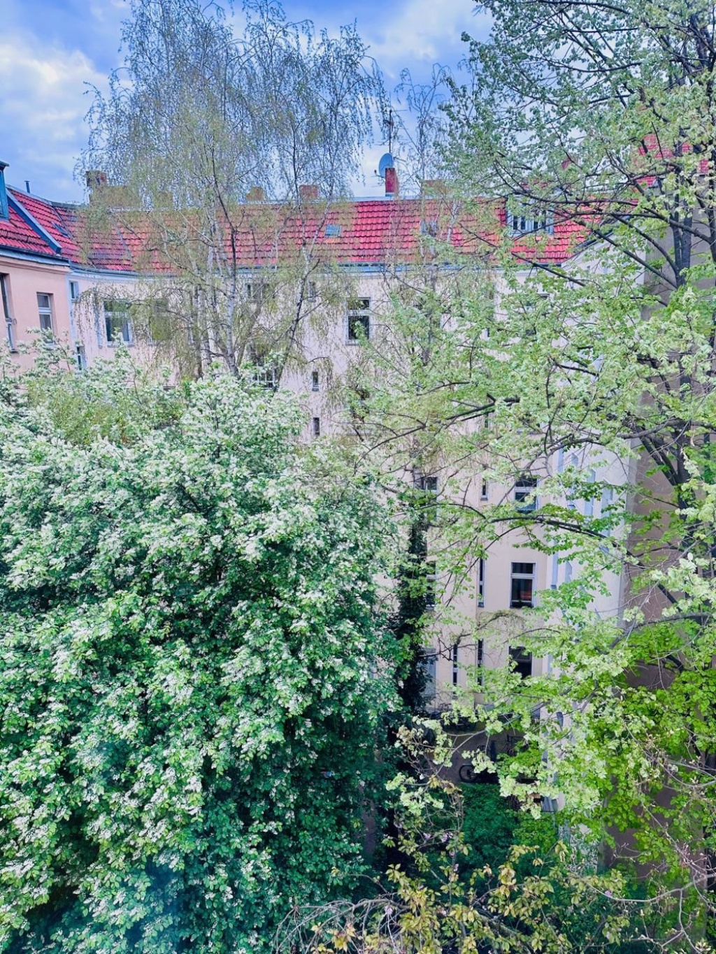 frisch renovierte, neu/voll möblierte Altbauwohnung in Neukölln – Donaustraße 117, 12043 Berlin Neukölln – Vorschaubild 6