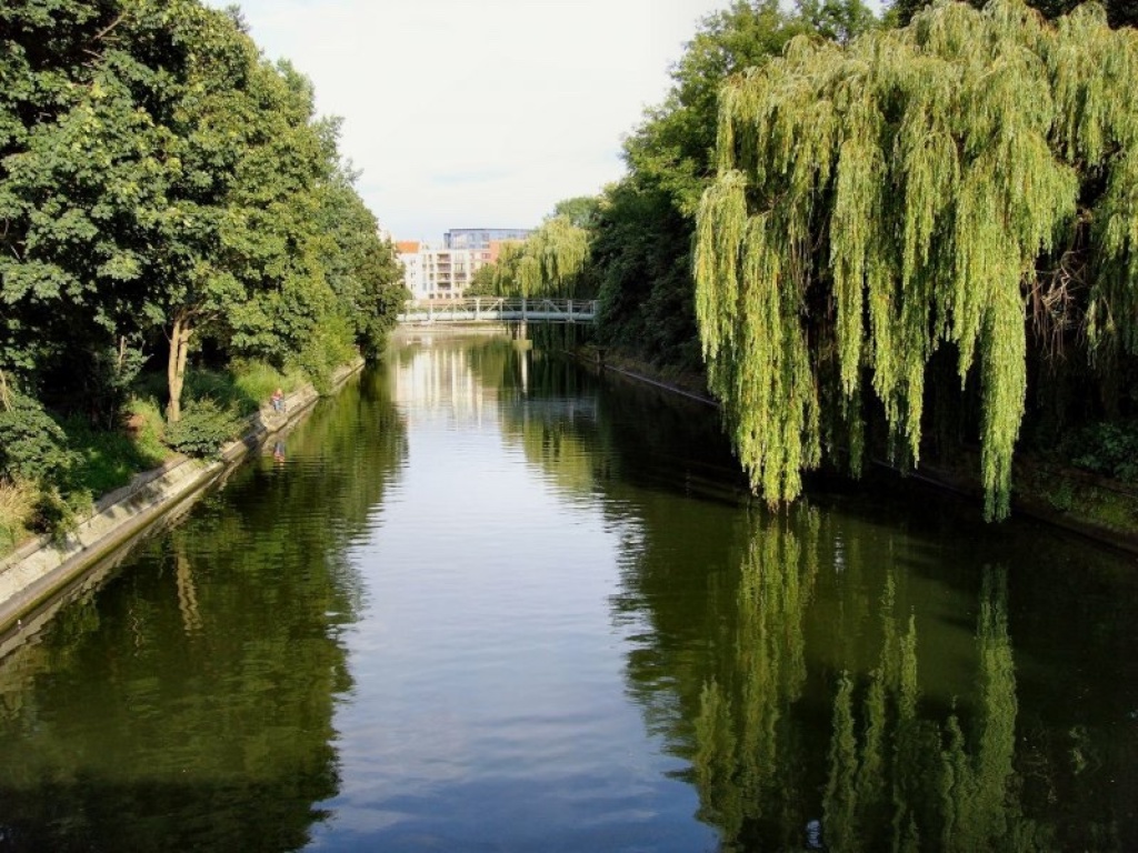 Wohnung Neukölln Manitiusstraße - Bild 16
