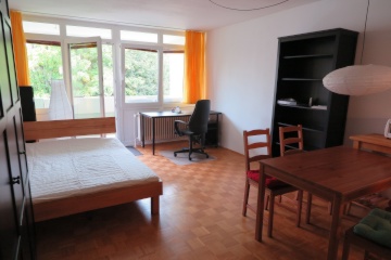 Anzeigenbild: 1-Zimmer-Wohnung in ruhiger Lage, möbliert