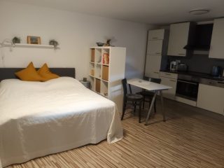Imagen del anuncio: 1-Zimmer-Appartment (vollständig möbliert)