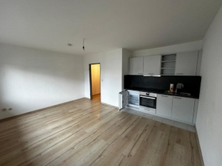 Anzeigenbild: 1-Zi Wohnung mit Küchenzeile in Neu-Isenburg