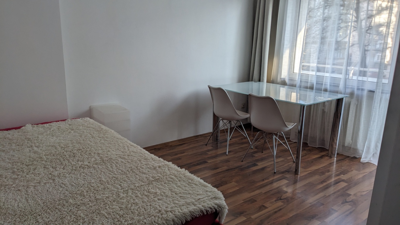 1 Room Flat Wiesbaden-Nordost Taunusstrasse 74 - Wohnzimmer