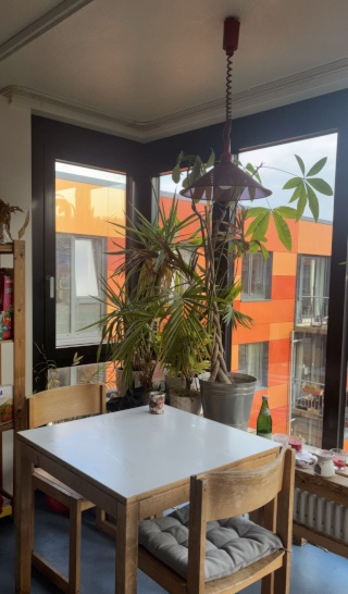 WG room for rent