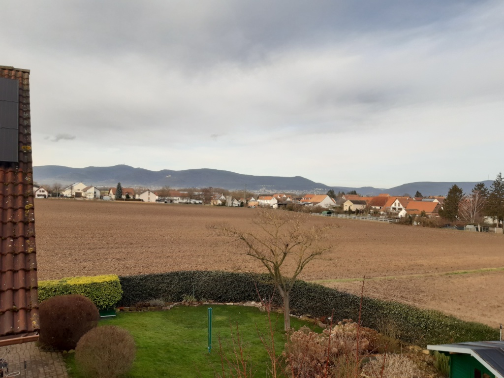 WG-Zimmer Lachen-Speyerdorf Kirrweilerer Strasse - Bild 1