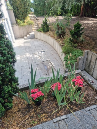 Ad image: Schöne Souterrain Wohnung mit großer Terrasse