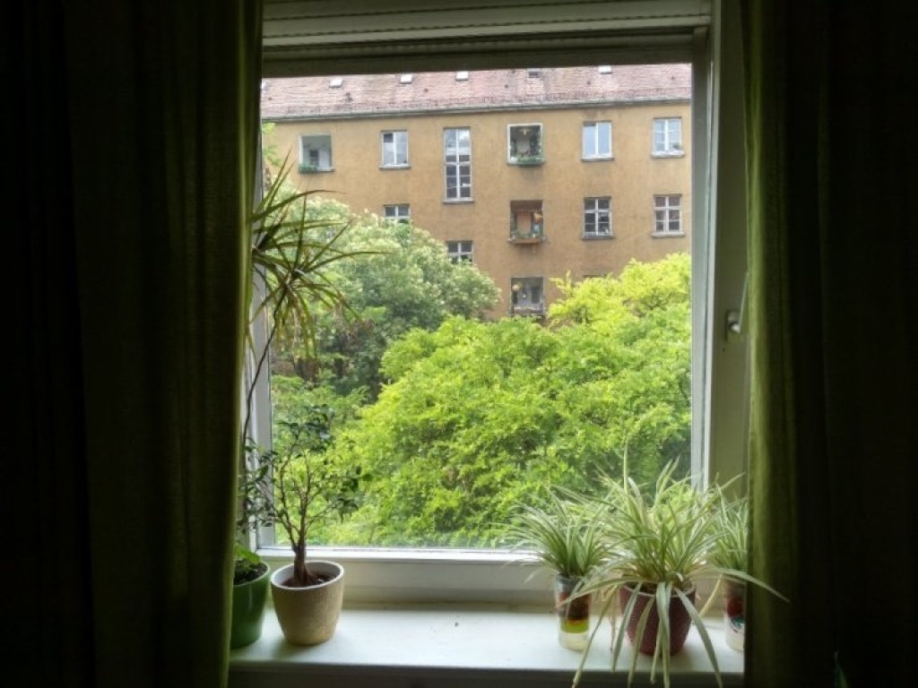 WG-Zimmer Zellerau Fröhlichstraße 9 - Bild 3