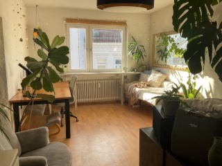 Anzeigenbild: 1,5 Monate Untermiete Viertelzimmer