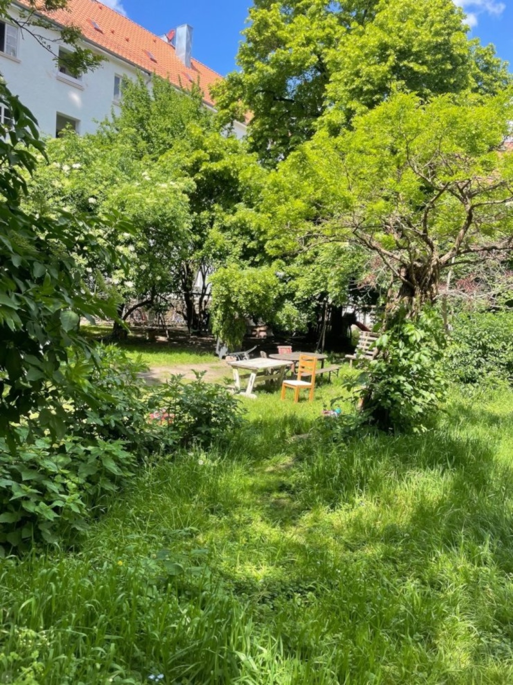 WG-Zimmer Zellerau Fröhlichstraße 9 - vielleicht dein Garten