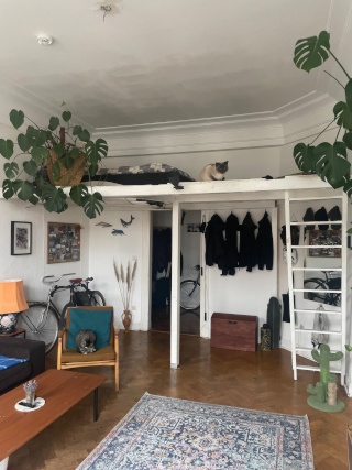Anzeigenbild: WG Zimmer Sielwall