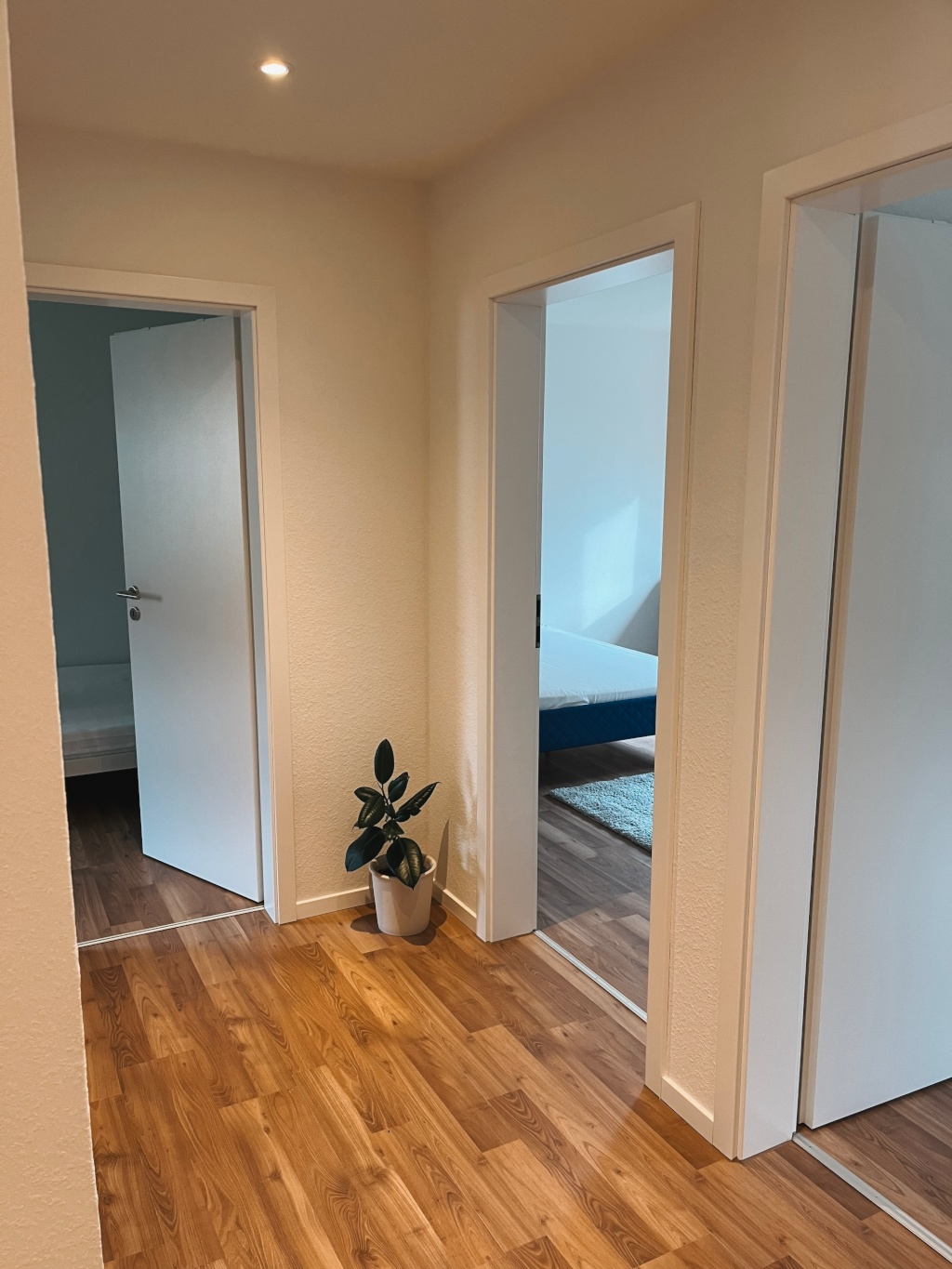 WG-Zimmer Feuerbach Im Siebenzehnerle - Flur