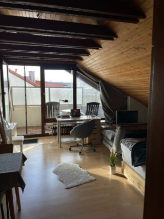 Anzeigenbild: Gemütliche 1-Zimmer+Bad Dachgeschoss-Wohnung für Studenten