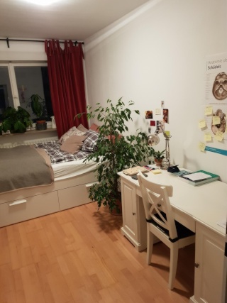 Imagen del anuncio: tranquila sala de GT junto a la galería de la ciudad