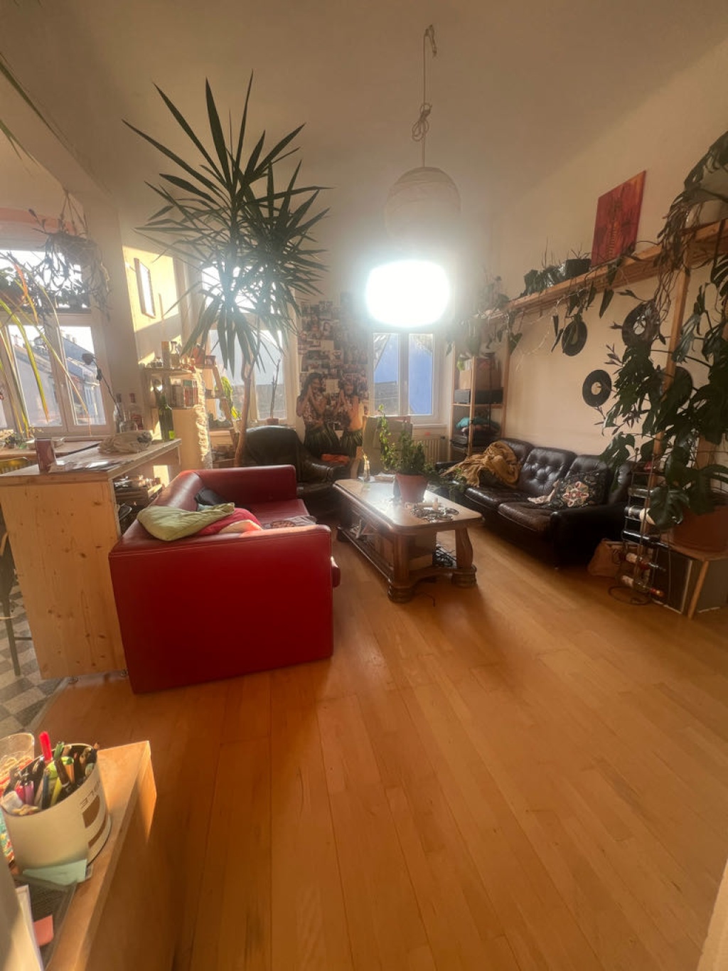 WG-Zimmer Hernals Schumanngasse - Bild 1