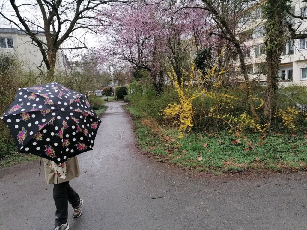 Schönes helles möbliertes Zimmer mit großem Balkon in 2.5Zimmer Wohnung in Steglitz.Zentral gelegen zur U-+S-Bahn Rathaus Steglitz.Ein möbiliertes Wohnzimmer zur Mitbenutzung.Die gesamte Wohnung ist hauptsächlich zur Alleinverfügung! – Sedanstraße 17a, 12167 Berlin Steglitz – Vorschaubild 10